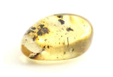 drop drops baltic amber supplies top drilled for jewelry making green 2