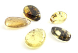 drop drops baltic amber supplies top drilled for jewelry making green