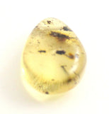 drop drops baltic amber supplies top drilled for jewelry making green 3