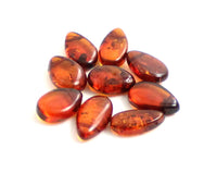 drop drops baltic amber supplies top drilled for jewelry making cognac 2